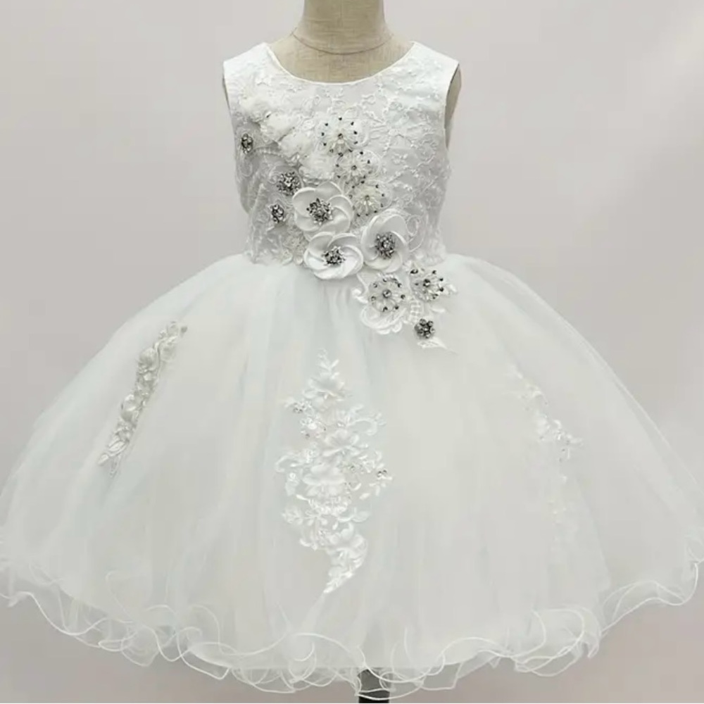 Girls Special Day Dress